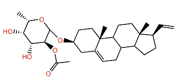 Ximaosteroid D